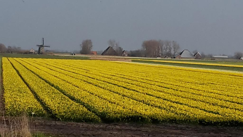 Vredehof Apartman Sint Maartensbrug Kültér fotó