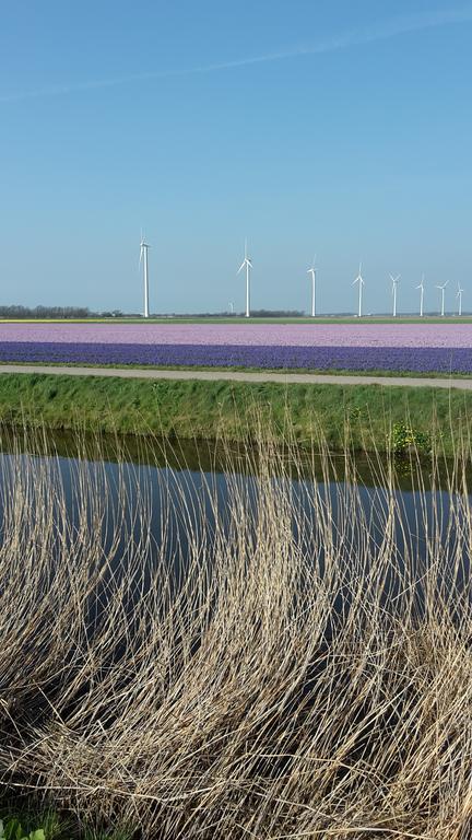 Vredehof Apartman Sint Maartensbrug Kültér fotó